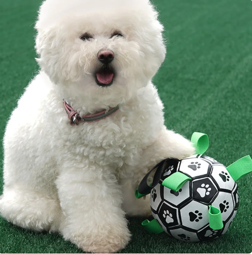 Interactive Soccer Brain Game for Dogs